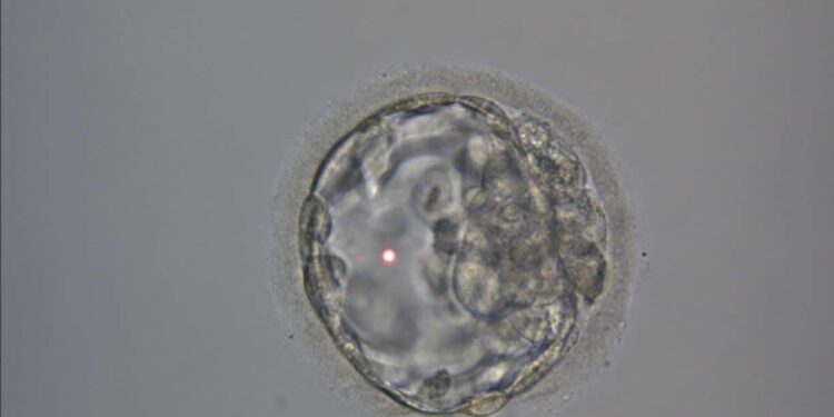 குழந்தையின்மை சிகிச்சை: முறைகள், கால அளவு, செலவு!