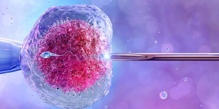IVF கருத்தரித்தலில் கவனம் அவசியமா? | கர்ப்பப்பை கட்டிகளுக்கு ஆபரேஷன் தீர்வா? | குழந்தையின்மை பிரச்சினை அதிகரித்து வருவது ஏன்?