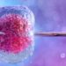 IVF கருத்தரித்தலில் கவனம் அவசியமா? | கர்ப்பப்பை கட்டிகளுக்கு ஆபரேஷன் தீர்வா? | குழந்தையின்மை பிரச்சினை அதிகரித்து வருவது ஏன்?