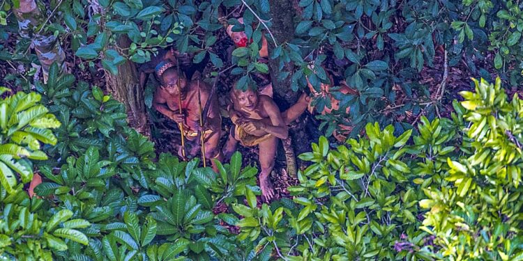 நவீன உலகத்திலிருந்து விலகி ஒரு தனி வாழ்க்கை: அமேசான் காட்டில் வெளியுலகத் தொடர்பின்றி வாழும் பழங்குடியினர்!